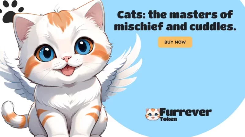 Ethereum ETF on the Horizon, Solana Becomes Fifth Largest Crypto, and Furrever Token to Soar