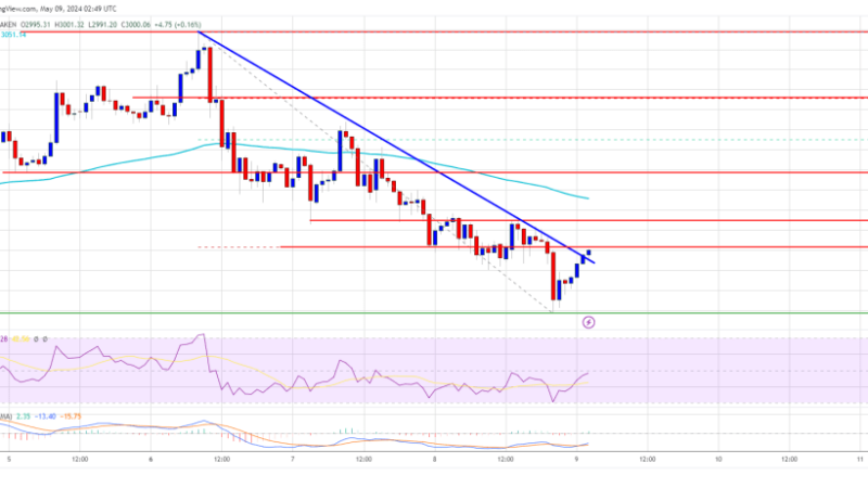 Ethereum Price Looks Ready For Another Leg Higher Over If It Holds Support