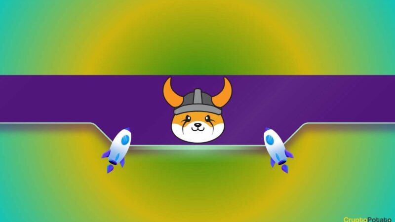 FLOKI Price Explodes: Here Are 4 Reasons Why