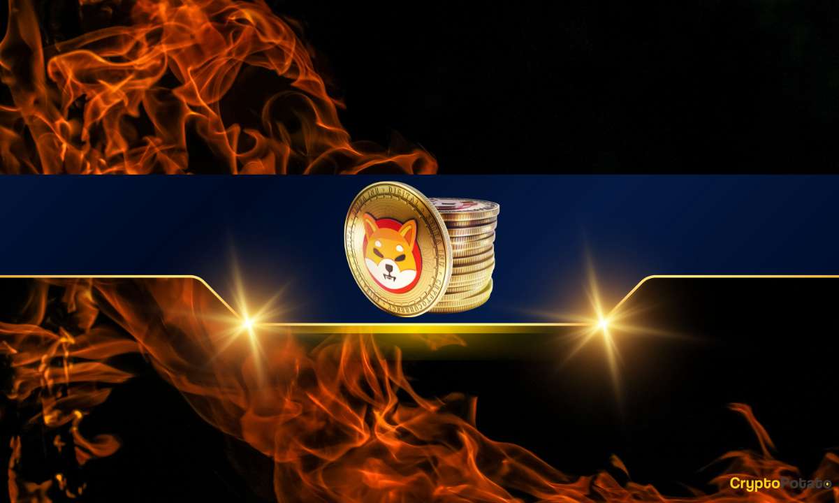 Important Shiba Inu Metric Explodes by 4,000%: What About the SHIB Price?