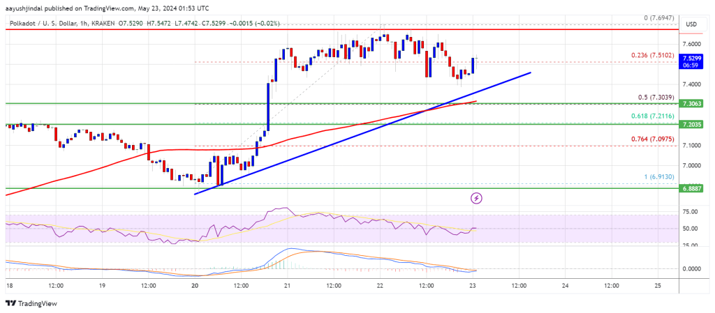 Polkadot Price Sets Sights on New Highs: DOT Bullish Momentum Building