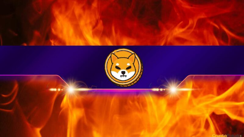 Shiba Inu (SHIB) Burn Rate Explodes by Almost 600%: Details