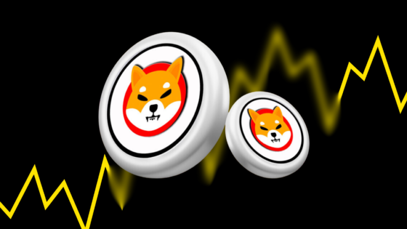 Shiba Inu Witnesses 15% Drop In Large Transactions
