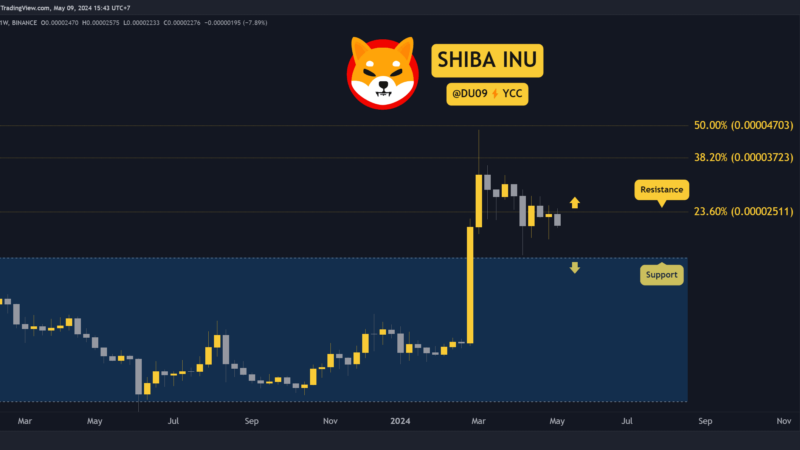 Why is the Shiba Inu (SHIB) Price Up this Week?