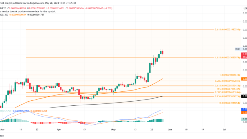 With FOMO On The Rise, Is It The Best Time To Buy Meme Coins? 