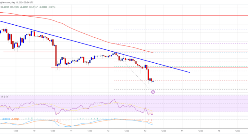 XRP Bears Keeps Pushing, Indicators Suggest A Strengthening Case of More Losses