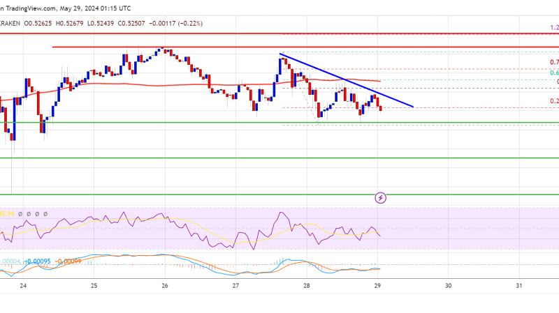 XRP Price at Risk: Will It Sink or Swim at Key Support Levels?
