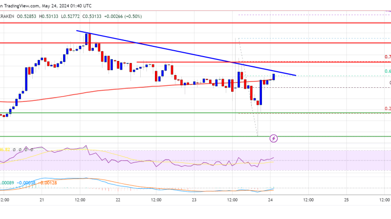 XRP Price Consolidates, Gearing Up for Its Next Major Breakout