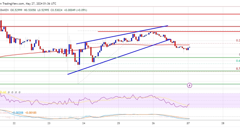 XRP Price Dips: Another Setback or a Buying Opportunity?