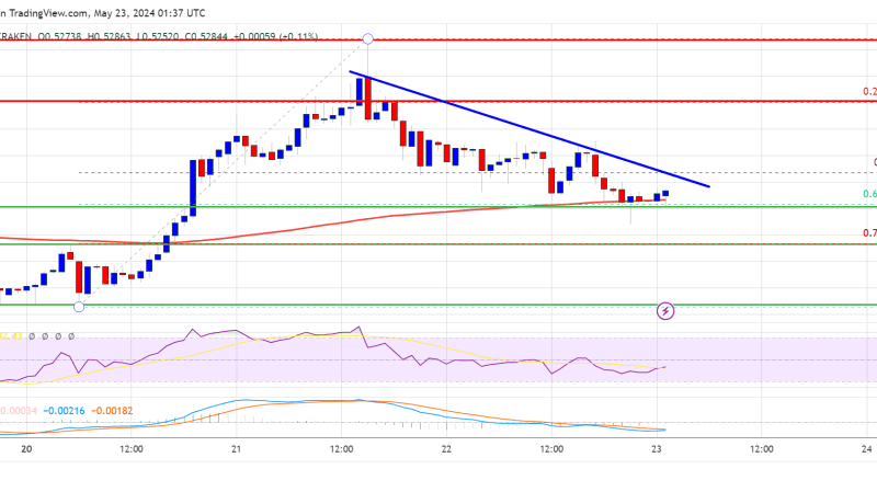 XRP Price Turns Red Again: What’s Next for the Crypto?