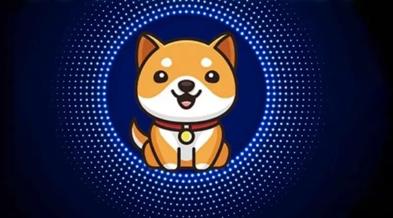 BabeDoge Coin Price Prediction: Will The New Listings Help The Memecoin To Explode?