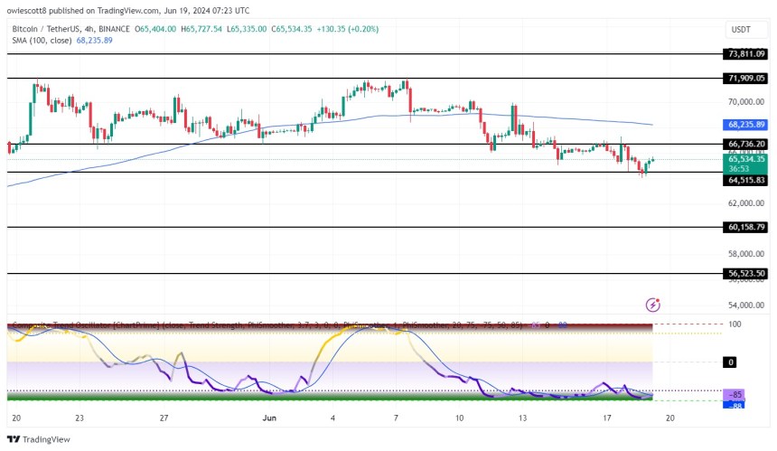 Bitcoin Battles $64,515 Support Level, Can It Hold or Will Bears Prevail?