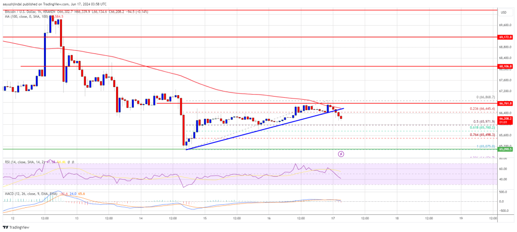 Bitcoin Price Decline Continues: Lower Targets in Sight