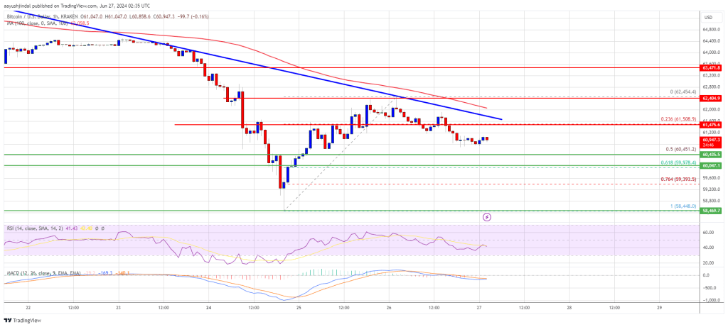 Bitcoin Price Faces Potential Dive: Key Support Levels to Monitor