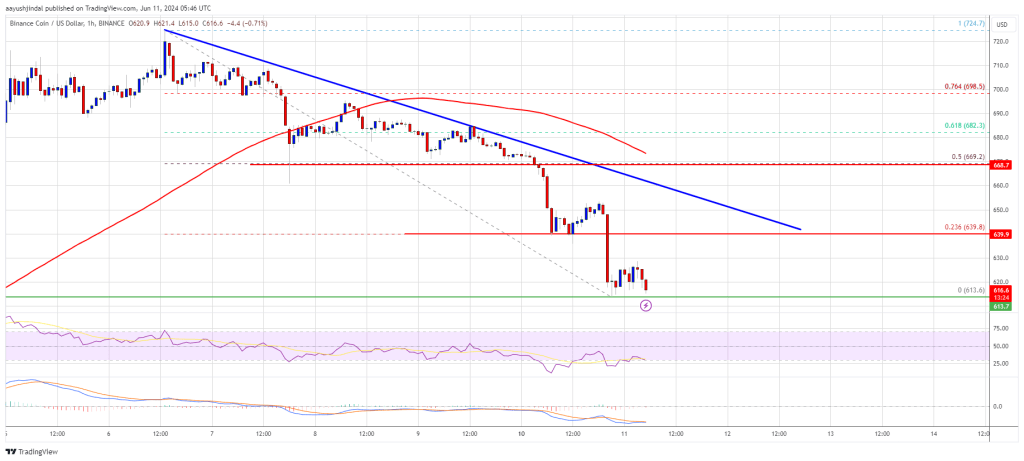 BNB Price Retraces: Altcoin Giant Trims Recent Gains, Can It Recover?