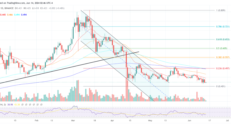 Cardano Price Drops As Hoskinson Clarifies Relationship To Elon Musk