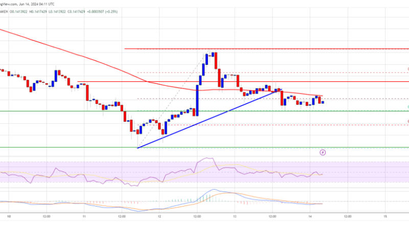 Dogecoin in Trouble: DOGE Breaking Support Could Spark Bearish Action