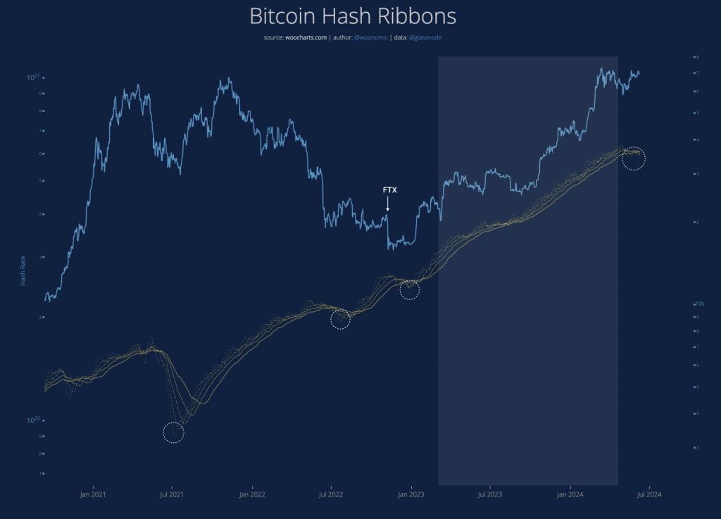 Is Bitcoin Crashing Because Of Miner Capitulation And Speculative BTC Bets?