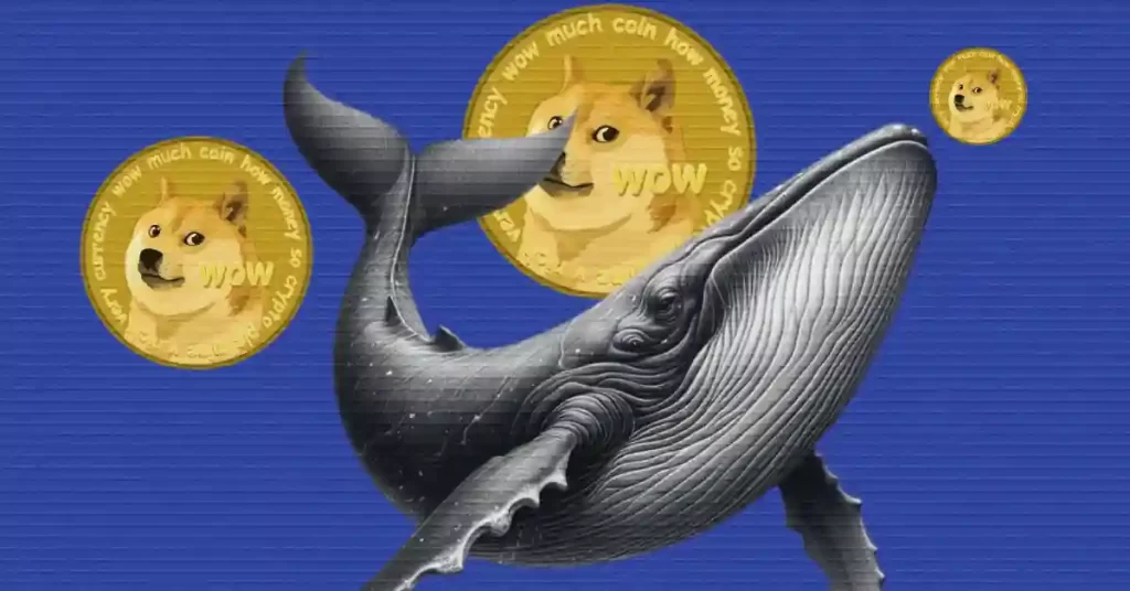 Massive DOGE Accumulation Signals Potential Rally In the Future