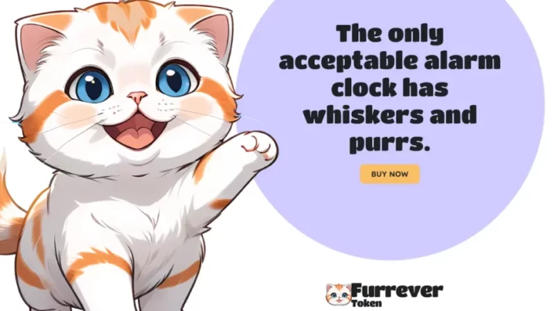 Shiba Inu and Solana Holders Find New Hope in Furrever Token’s Adorable Ascent