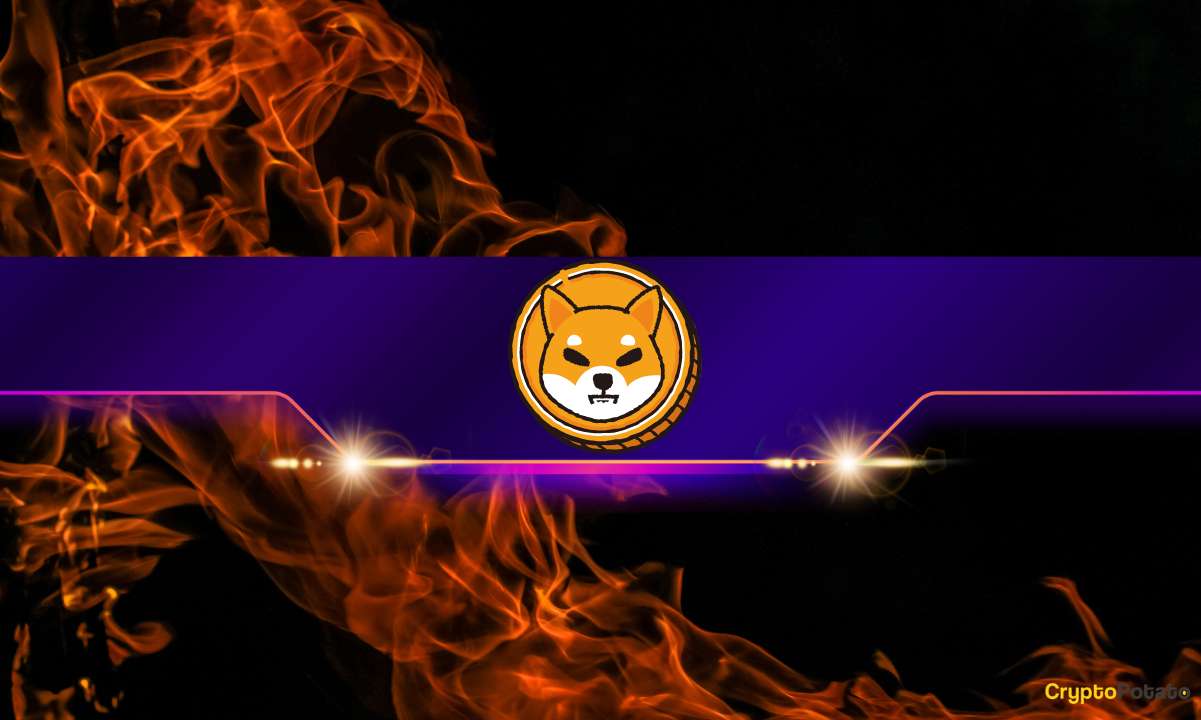 This is How Many Shiba Inu (SHIB) Tokens Got Burned Last Month