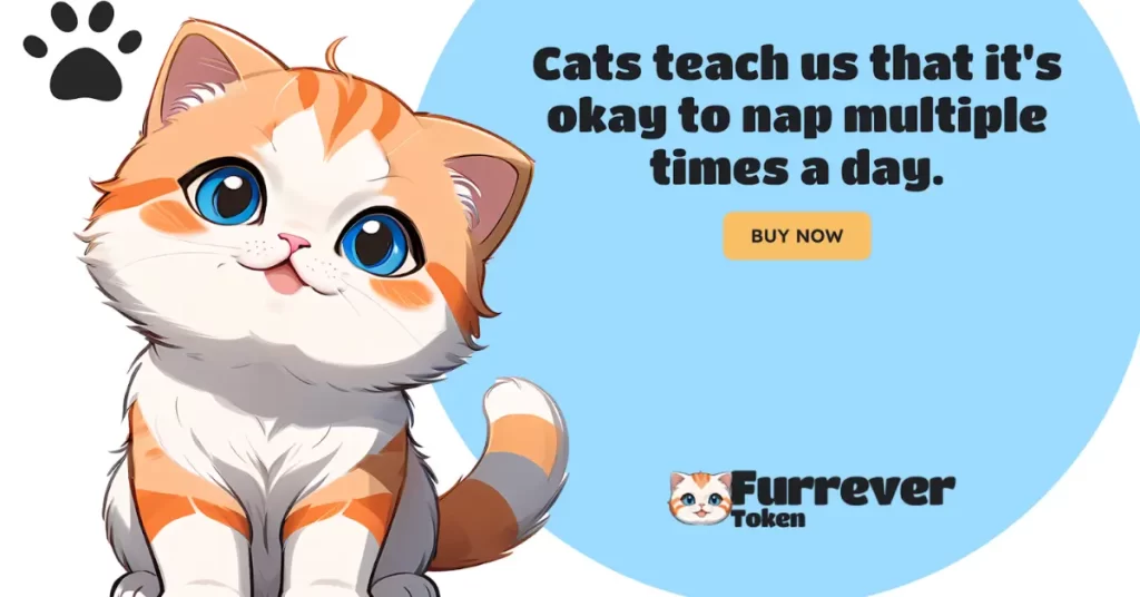 Top Meme Coins to HODL Now: Dogecoin’s Future, Shiba Inu’s Burn, and Furrever Token’s Potential