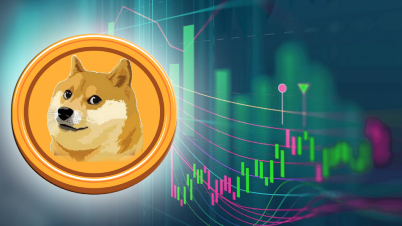 Whales Begin to Accumulate DOGE, Will Dogecoin Price Rebound to $0.2?