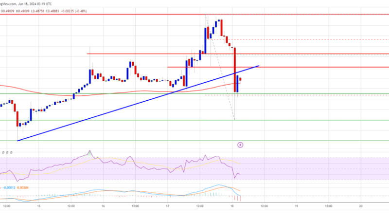 XRP Bulls Flex Muscles: Potential Uptrend in Play?