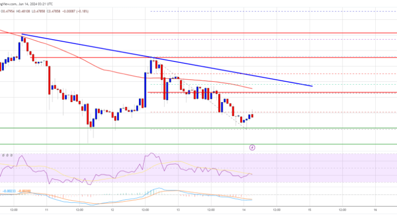 XRP Price Danger Zone: Key Support Levels to Watch