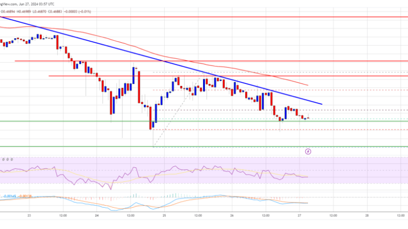 XRP Price Dips Again: What’s Causing The Continued Slide?