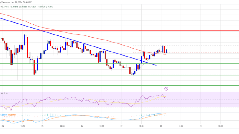 XRP Price Fails To Ignite: Understanding The Downward Risks