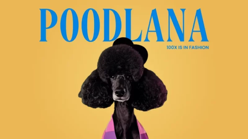 Asia Braces for Poodlana’s Launch in Under 48 Hours