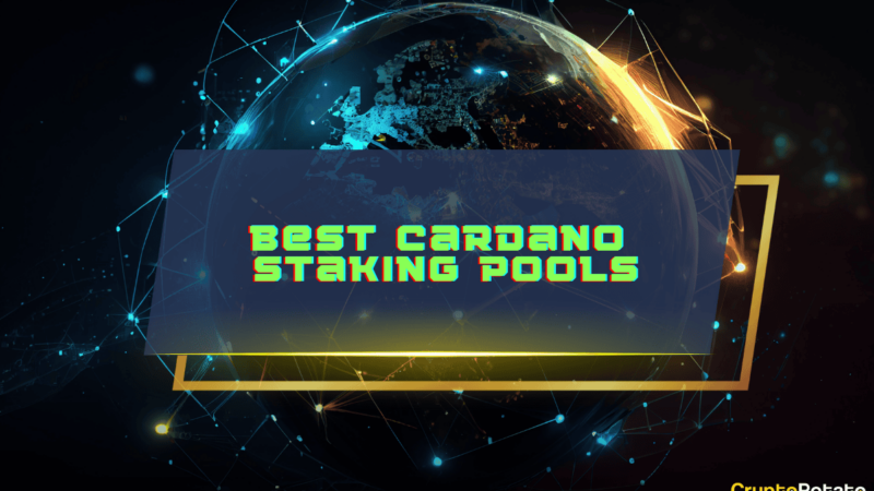 Best 5 Cardano Staking Pools: How to Stake ADA in 2024