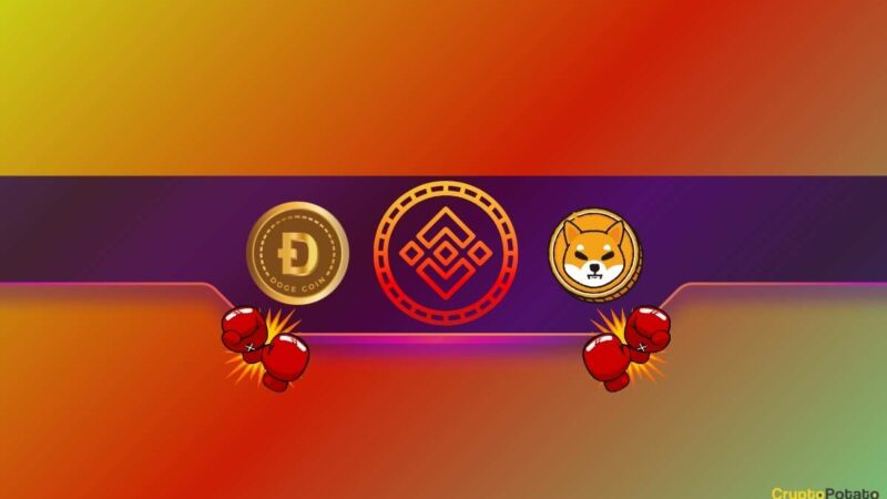 Big Binance Announcement for Shiba Inu (SHIB) and Dogecoin (DOGE) Traders: Details