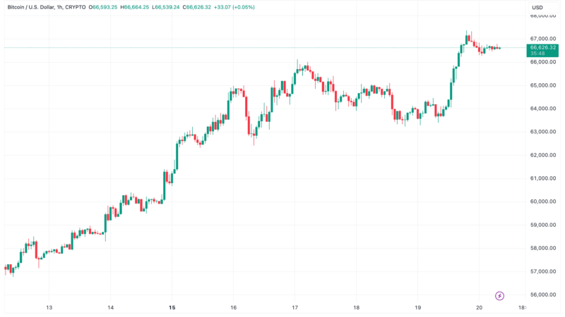 Bitcoin Pokes Above $67K as Altcoins See Considerable Gains (Weekend Watch