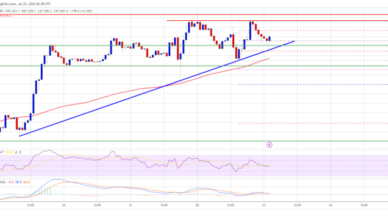 Bitcoin Price Consolidates: Is Another Pump on the Horizon?