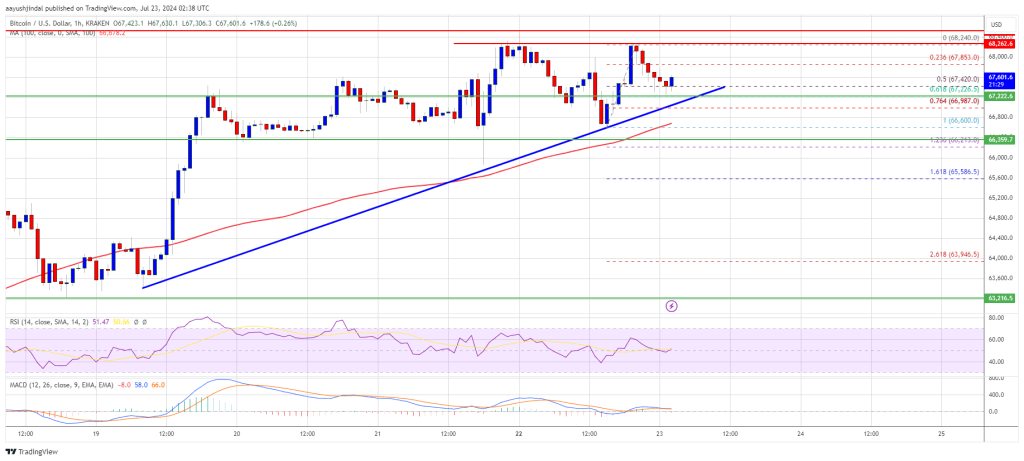 Bitcoin Price Consolidates: Is Another Pump on the Horizon?