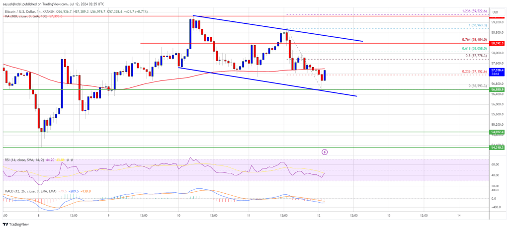 Bitcoin Price Falls Once More: Are Bears Poised for Another Drop?