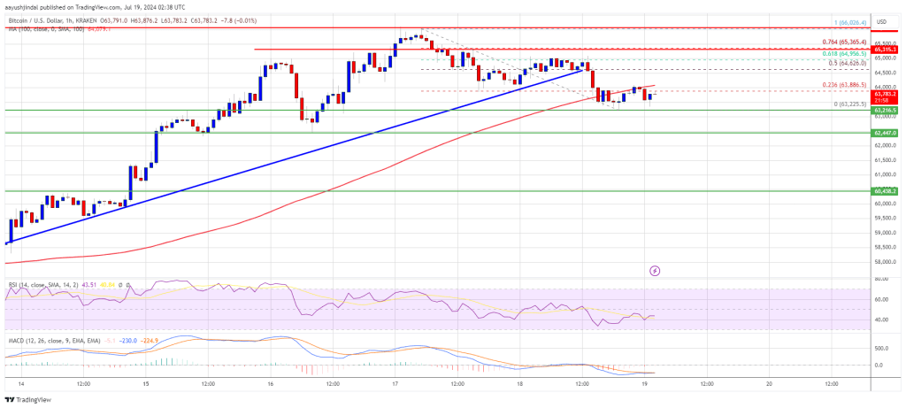 Bitcoin Price Hints at Downside: Preparing for Potential Declines