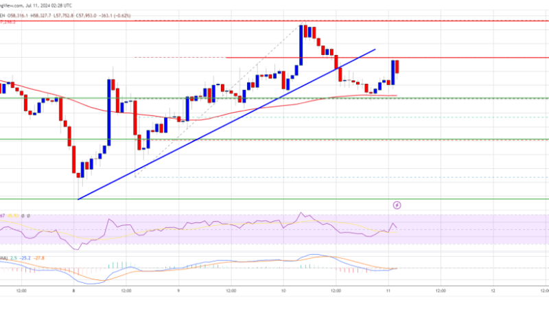 Bitcoin Price Hit By Rejection: Will Bulls Stumble Once More?