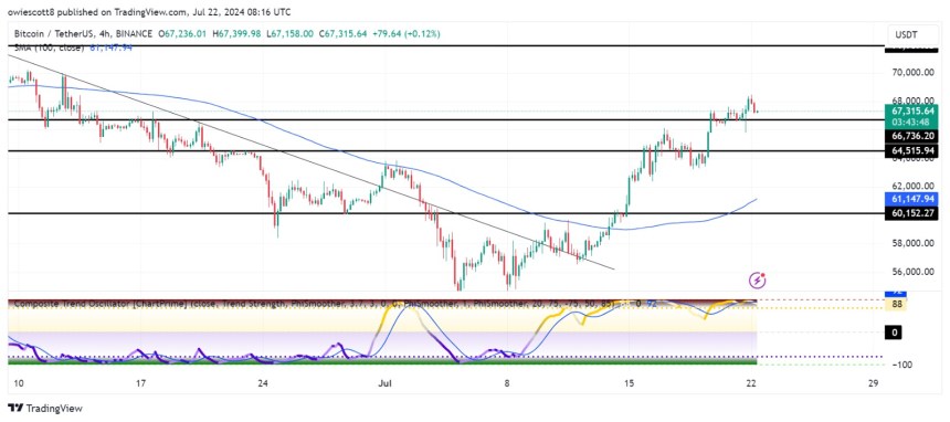 Bitcoin Price Retraces To $66,736: Can Bulls Stage A Recovery?