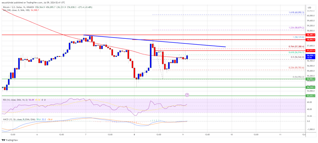 Bitcoin Price Stabilizes After Losses: Can Bulls Overcome Resistance for a Recovery?