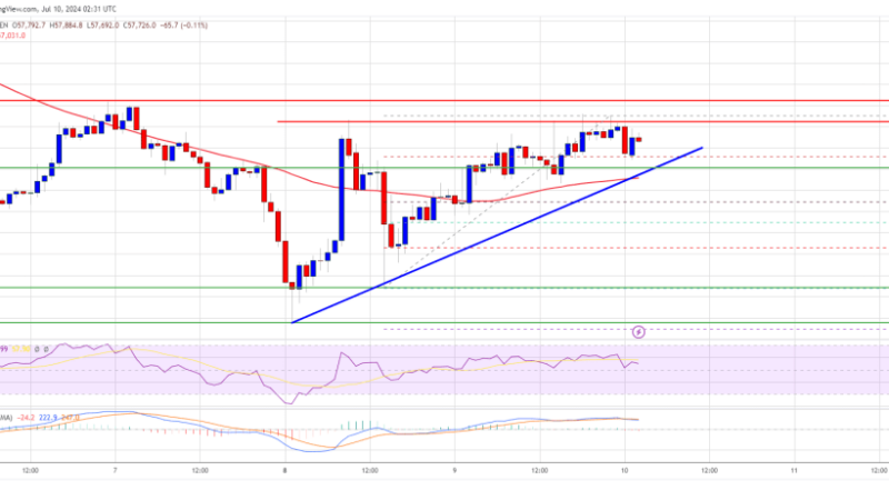 Bitcoin Price Targets Recovery: Will It Surpass the $60K Mark?