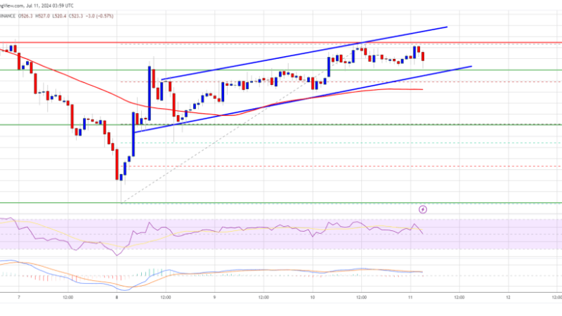 BNB Price Steadies Above Support: Is a Bullish Comeback on the Horizon?