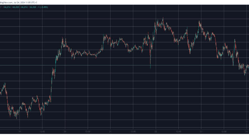 BTC Price Retraces to $66K as Spot Bitcoin ETFs Break Inflow Streak (Market Watch)