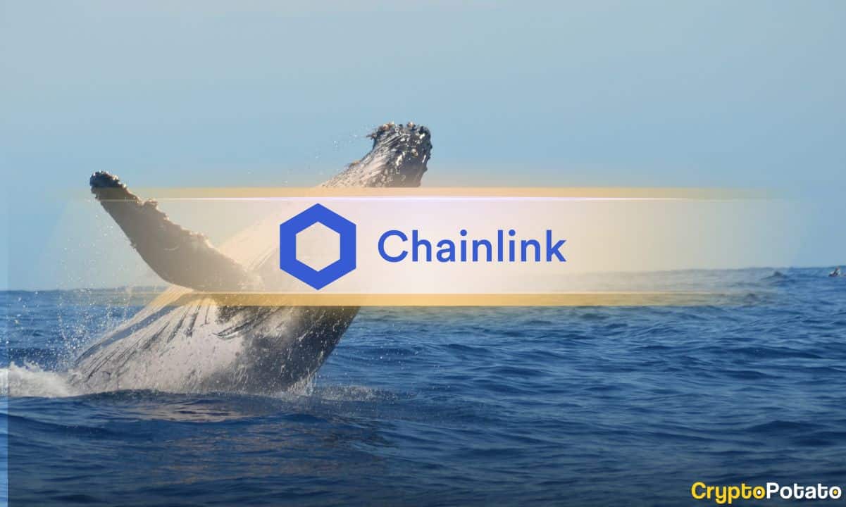 Chainlink (LINK) Price Outlook: Whales Step up as Important Metrics Flash Recovery Signals