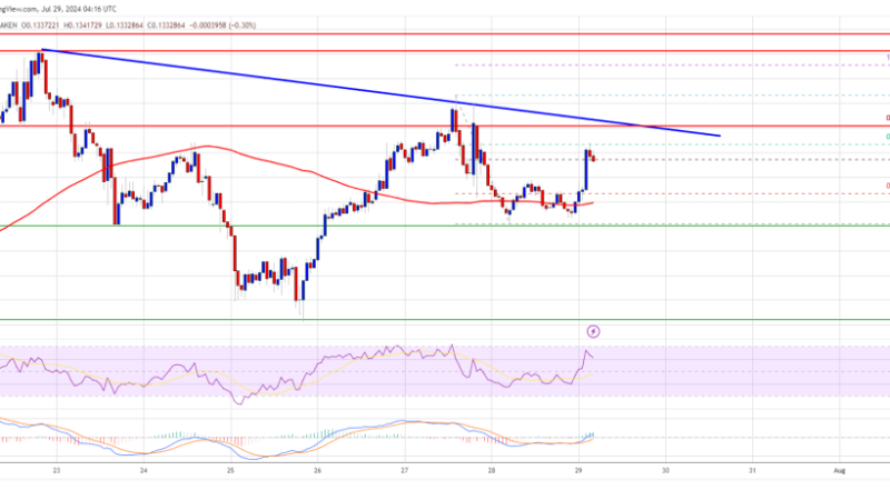 Dogecoin Price (DOGE) Eyes Impressive Gains: Will It Break Through?