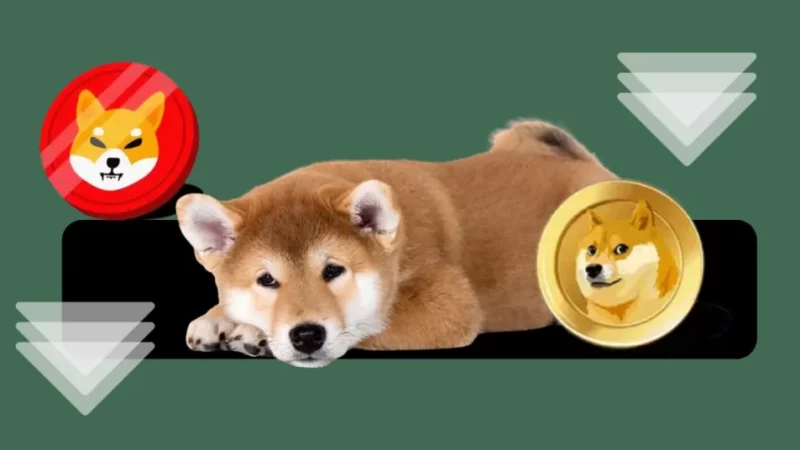 Dogecoin & Shiba Inu Price Losing the Momentum: Here is What’s Next for These Memecoins!