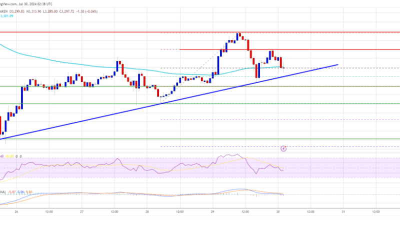 Ethereum Price Stabilizes: Can ETH Gain Traction for an Upswing?