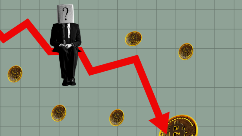 Expert Downplays Bitcoin’s Sub-30% Correction, Lists Positive Factors